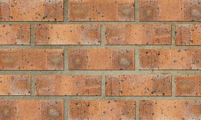 Copper tone Travertine